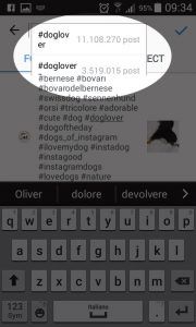 Mentre inseriamo un hashtag instagram ci dice quante volte è stato usato.