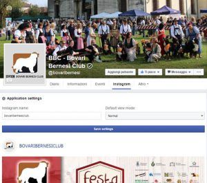 TabInstagram per Facebook